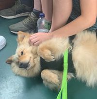 IMG_5710_1